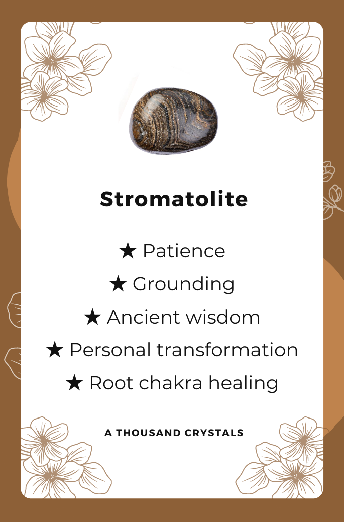 STROMATOLITE, Crystals, Healing Crystal for Ancient Wisdom, Transformation, Self-reflection and Groundingical advice. Choking Hazard - Not suitable for children under 36 months.